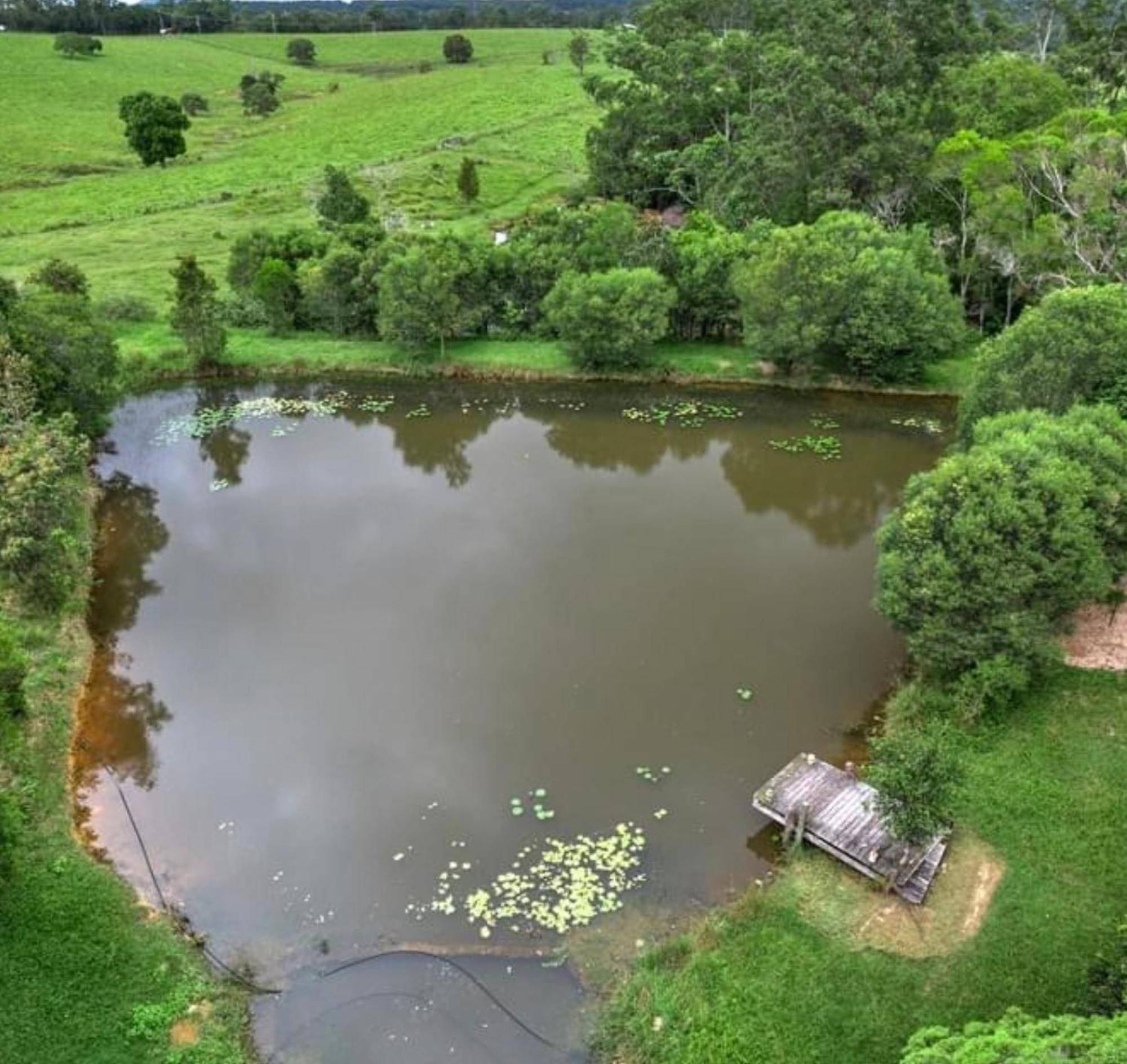 Noosa Pomona Retreat Villa Sunshine Coast Екстериор снимка